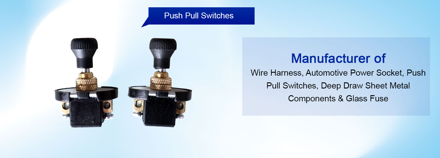 Push-Pull Switches  manufacturer in Delhi, India